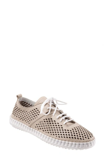 Bueno Dellis Perforated Sneaker In Light Grey
