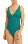 Sea Level Panel Line Multifit One-piece Swimsuit In Vermont