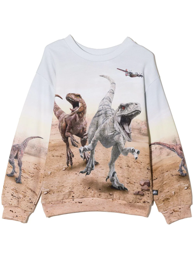 Molo X Jurassic World Kids Miksi Dinosaur Print Organic Cotton Sweatshirt In Grey