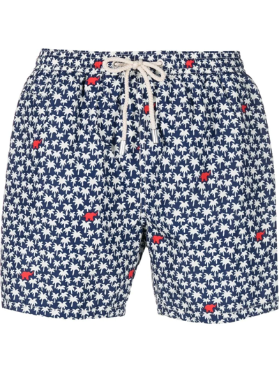 Mc2 Saint Barth Palm-tree Print Swim Shorts In Blue