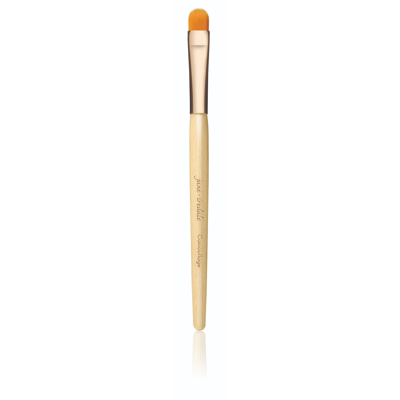 Jane Iredale Camouflage Brush In Default Title