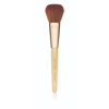 Jane Iredale Chisel Powder Brush In Default Title
