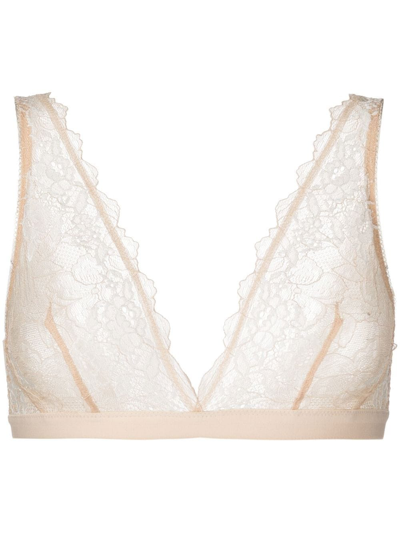 Wacoal Lace Perfection Bralette In Neutrals