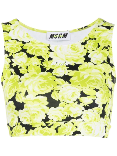 Msgm Floral-print Cropped Vest In Yellow