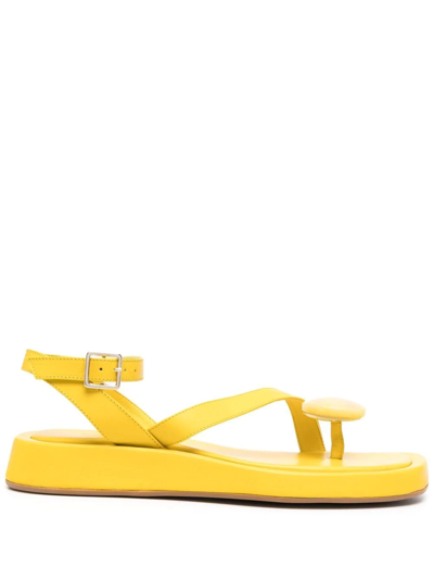 Gia Borghini 露趾凉鞋 In Yellow