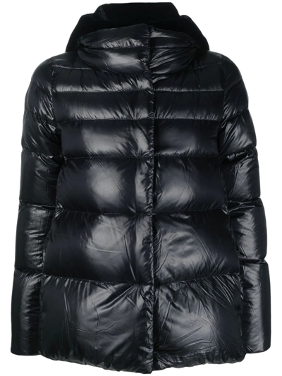 HERNO QUILTED HOODED PUFFER JACKET
