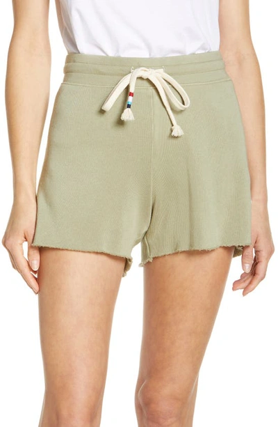 Sol Angeles Essential Shorts In Nocolor