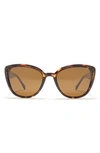 Hurley Medium Plastic Cat-eye Sunglasses In Shiny Tortoise