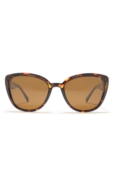 Hurley Medium Plastic Cat-eye Sunglasses In Shiny Tortoise