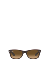 Ray Ban New Wayfarer Classic Sunglasses Brown On Transparent Brown Frame Brown Lenses Polarized 58-18 In Matte Brown On Transparent Brown