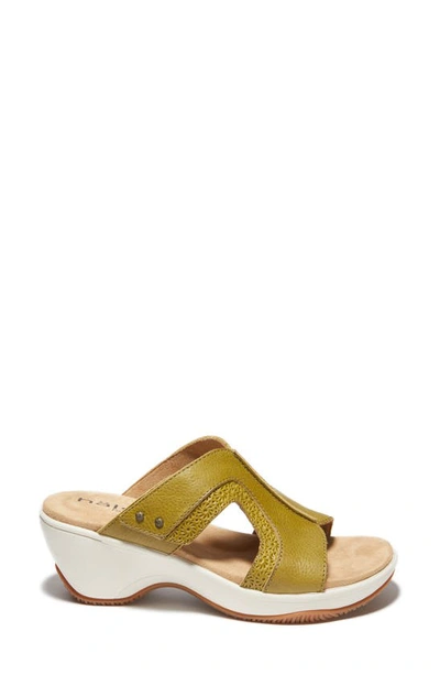 Halsa Footwear Cassandra Sandal In Kiwi