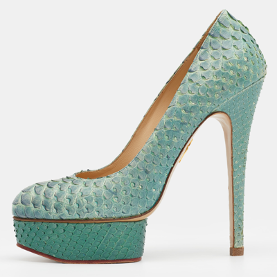 Pre-owned Charlotte Olympia Ombre Mint Green/blue Python Leather Priscilla Platform Pumps Size 40