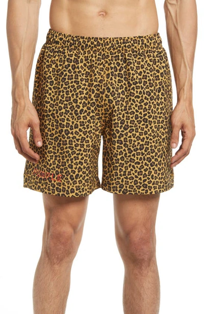 Purple Brand Leopard Print Logo Swim Shorts In Brown Leopard Swim Shorts