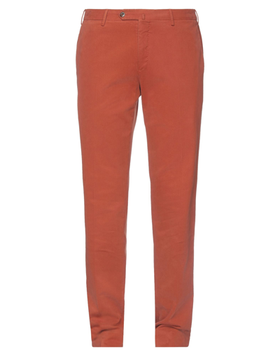 Pt Torino Pants In Red