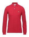 Lacoste Polo Shirts In Burgundy