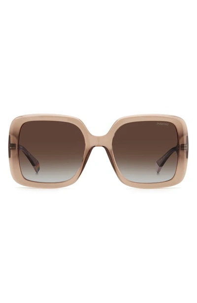 Polaroid 54mm Polarized Square Sunglasses In Beige / Brown Grad Polz