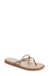 Pedro Garcia Poppy Crystal Flip-flop In Camel Satin