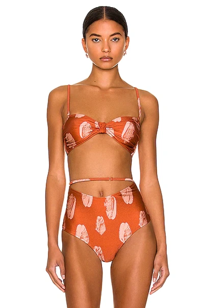 Shani Shemer Kith Bikini Top In Shells