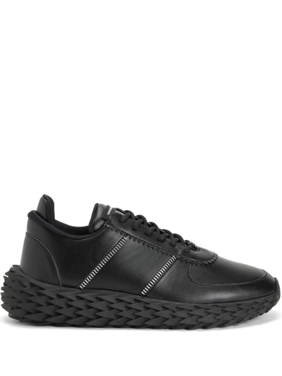 Giuseppe Zanotti Urchin Glitter Low-top Sneakers In Black