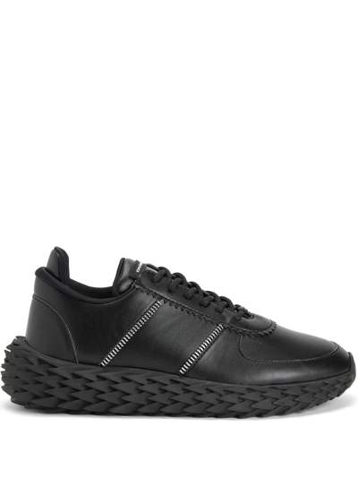 Giuseppe Zanotti Urchin Glitter Low-top Trainers In Black