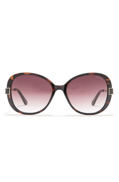 Guess 55mm Oval Sunglasses In Dark Havana / Gradient Brown