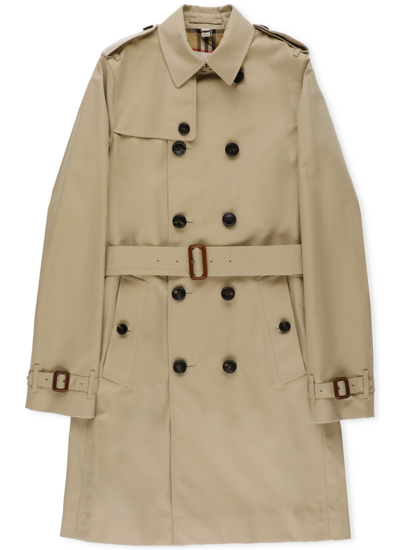 Burberry Kids' Cotton Waterproof Trench Coat In Honey