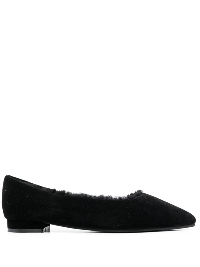 Age Of Innocence Anais Pointed-toe Ballerina Shoes In Black
