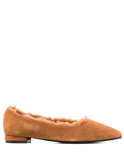 Age Of Innocence Anais Pointed Ballerina Shoes In Brown