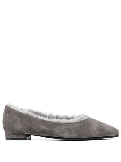 Age Of Innocence Anais Pointed-toe Ballerina Shoes In Grey