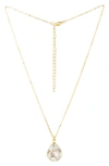 Saachi 18k Plated Mojave Turquoise Necklace In White