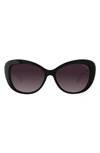 Velvet Eyewear Chrystie 55mm Cat Eye Sunglasses In Black