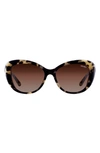Velvet Eyewear Chrystie 55mm Cat Eye Sunglasses In Grey Tortoise
