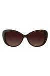 Velvet Eyewear Chrystie 55mm Cat Eye Sunglasses In Dark Tortoise