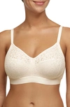 Chantelle Lingerie Norah Supportive Wireless Bra In Talc-nl