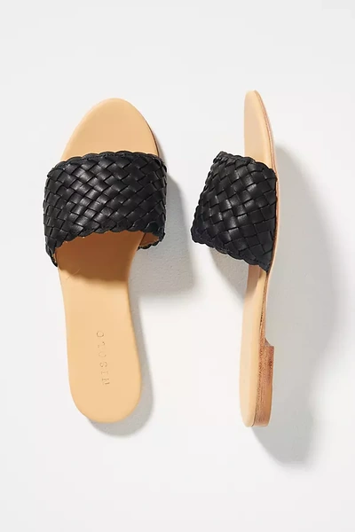 Nisolo Isla Woven Slide Sandal In Black