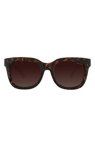 Velvet Eyewear Gracie 56mm Gradient Round Sunglasses In Tortoise