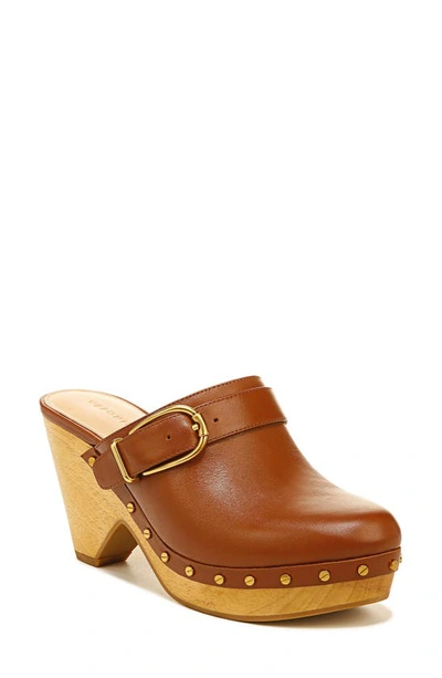 Veronica Beard Hendrix Leather Buckle Clogs In Brown