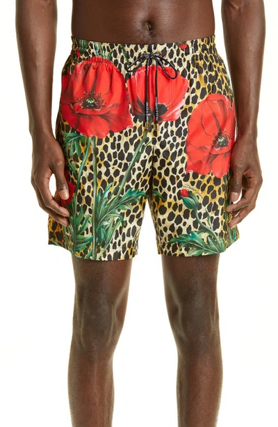 Dolce & Gabbana Leopard And Floral-print Swim Shorts In Multicolor