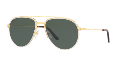 Cartier Ct0325s Gold Male Sunglasses In Green