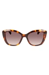 Longchamp Roseau 54mm Butterfly Sunglasses In Havana