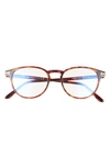 Tom Ford 51mm Round Blue Light Blocking Optical Glasses In Red Havana