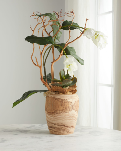 Exclusive Medinilla Magnifica 29" Faux Floral Arrangement In Wood Vase