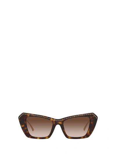 Valentino Va4114 Havana Sunglasses