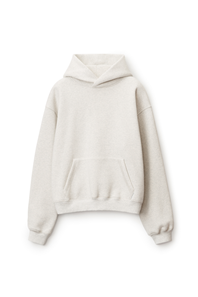 Alexander Wang Hoodie In Dense Fleece In Vintage Heather Grey