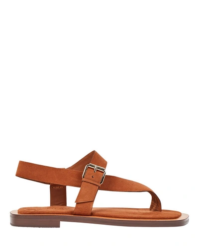 A.emery Hilla 25mm Leather Sandals In Brown