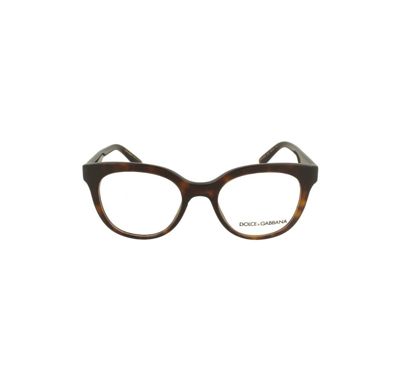 Dolce E Gabbana Women's Brown Acetate Glasses