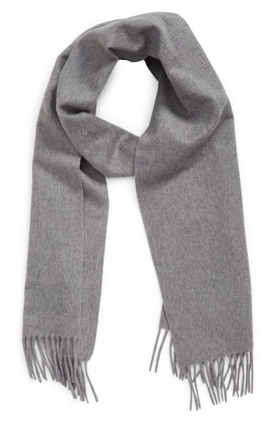 Max Mara Monogram Cashmere Scarf In Grey