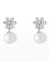 Pearls By Shari 18k White Gold Diamond Flower And 8.5mm Akoya Pearl Drop Earrings