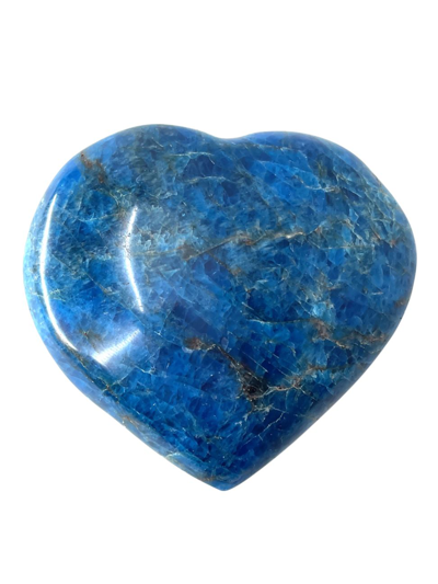 Jia Jia Apatite Heart In Turquoise