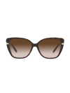 Tiffany & Co Wheat Leaf 57mm Cat Eye Sunglasses In Havana